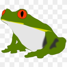 Cartoon Vector Frog Png, Transparent Png - tree frog png