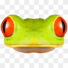 Red-eyed Tree Frog, HD Png Download - tree frog png