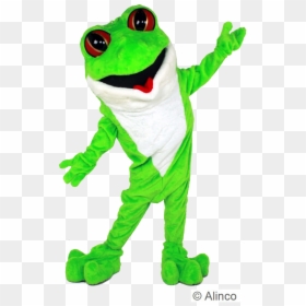 True Frog, HD Png Download - tree frog png