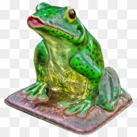Green-eyed Tree Frog, HD Png Download - tree frog png