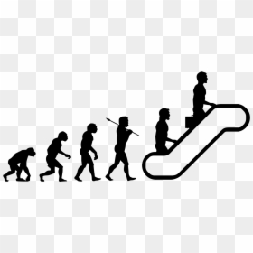 Evolution Of Man, HD Png Download - basketball png images