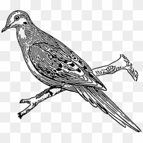 Cuckoo Clipart Black And White, HD Png Download - bird outline png