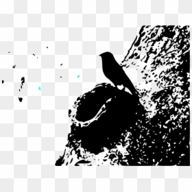 Drawing, HD Png Download - bird outline png