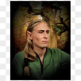 Elven Ears, HD Png Download - elf ear png