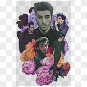 Collage Tumblr Zayn Malik, HD Png Download - zayn malik png