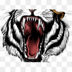 Roaring Tiger, HD Png Download - roaring tiger png