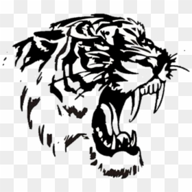 Tiger Png Black And White, Transparent Png - roaring tiger png