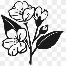 Jasmine Flower Vector Png Black White, Transparent Png - jasmine flower png