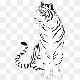 Draw A White Tiger, HD Png Download - roaring tiger png
