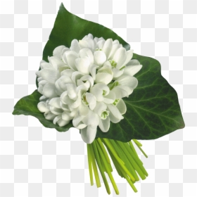 White Snowdrop Flowers Bouquet, HD Png Download - jasmine flower png