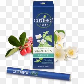 Curaleaf Hemp Cbd Disposable Pen Lemon Bergamot Revive, HD Png Download - jasmine flower png