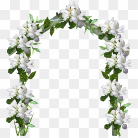 Flower Arch Png, Transparent Png - jasmine flower png