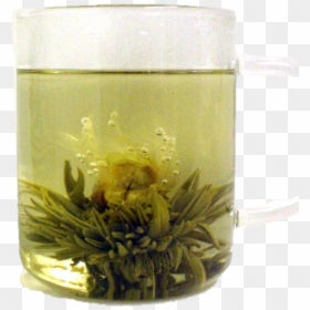 Flowering Tea, HD Png Download - jasmine flower png