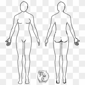 Female Human Body Drawing, HD Png Download - chalk outline png