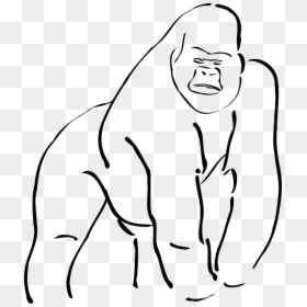 Gorilla Outline, HD Png Download - chalk outline png