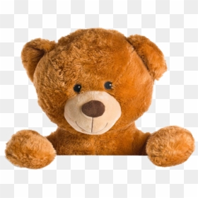 Teddy Bear With No Background, HD Png Download - teddy bear vector png