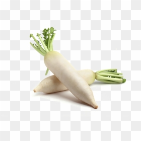 Radish Png, Transparent Png - radish png