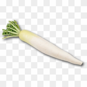 Png Radish, Transparent Png - radish png