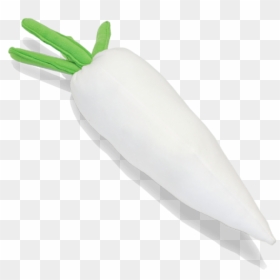 Carrot, HD Png Download - radish png