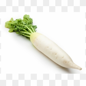 One Radish, HD Png Download - radish png