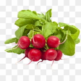 Radish, HD Png Download - radish png