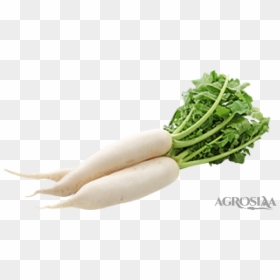 Rabu Vegetable In English, HD Png Download - radish png