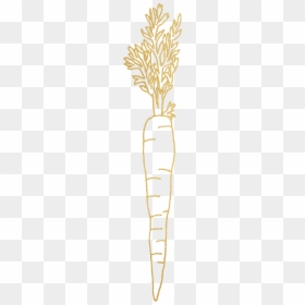 Carrot, HD Png Download - radish png