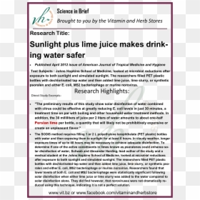 Screenshot, HD Png Download - sun direct png