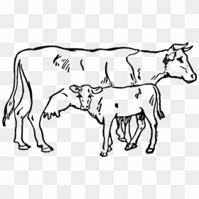 Cow And Calf Drawing, HD Png Download - indian chakra png