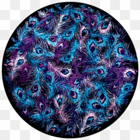 Circle, HD Png Download - morpankh png