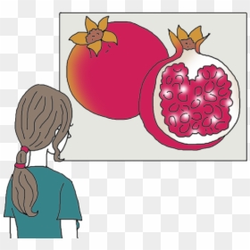 Illustration, HD Png Download - pomegranate seeds png