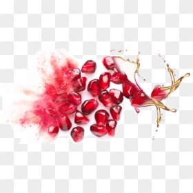Pomegranate Seed Oil Png, Transparent Png - pomegranate seeds png