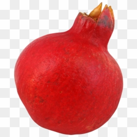 Pomegranate Symbol, HD Png Download - pomegranate seeds png