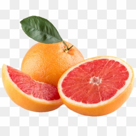 Transparent Grapefruit Png, Png Download - wallpaper.png