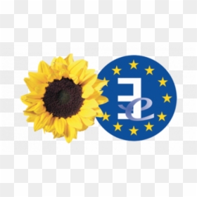 Group Of The Greens European Free Alliance Logo, HD Png Download - e=mc2 png