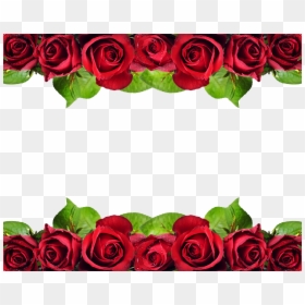 Red Roses Border Design, HD Png Download - red rose flower border design png