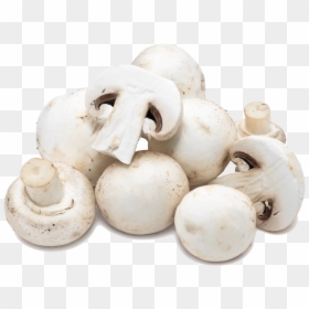 White Mushroom, HD Png Download - button mushroom png