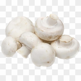 Champignon Mushroom, HD Png Download - button mushroom png