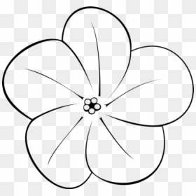 Flowers Art Black And White Plumerias, HD Png Download - plumeria tree png