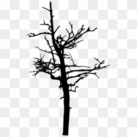 Creepy Tree Silhouette Png, Transparent Png - dry trees png