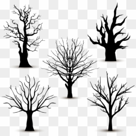 Trees Without Leaves Vector Png, Transparent Png - dry trees png