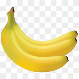 Two Bananas, HD Png Download - banana tree images png