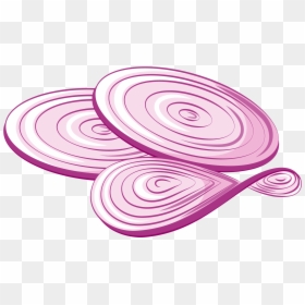 Onion Slices Png, Transparent Png - onion vector png