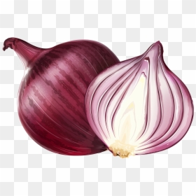 Onion Png, Transparent Png - onion vector png