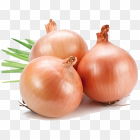 Onion Png, Transparent Png - onion vector png