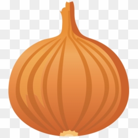 Onion Clipart, HD Png Download - onion vector png