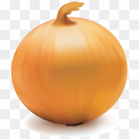 Onion Transparent Background, HD Png Download - onion vector png