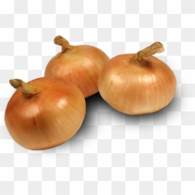 Sweet Onion Transparent, HD Png Download - onion vector png