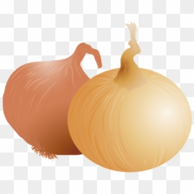Onion Vector, HD Png Download - onion vector png
