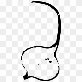 Jicama Clipart Black And White, HD Png Download - onion vector png